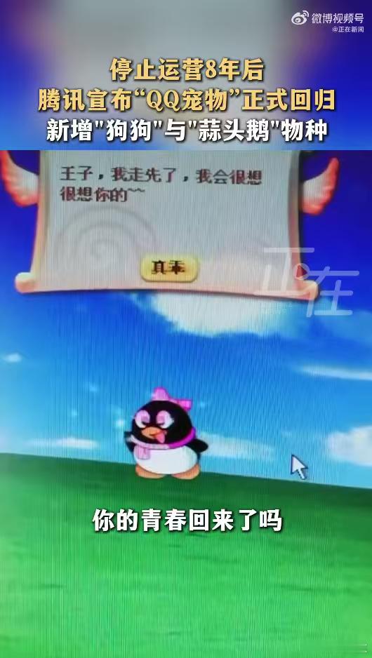 腾讯全新QQ宠物上线时隔八年再度邂逅小企鹅，新版升级3D画面，除经典形象外新增蒜
