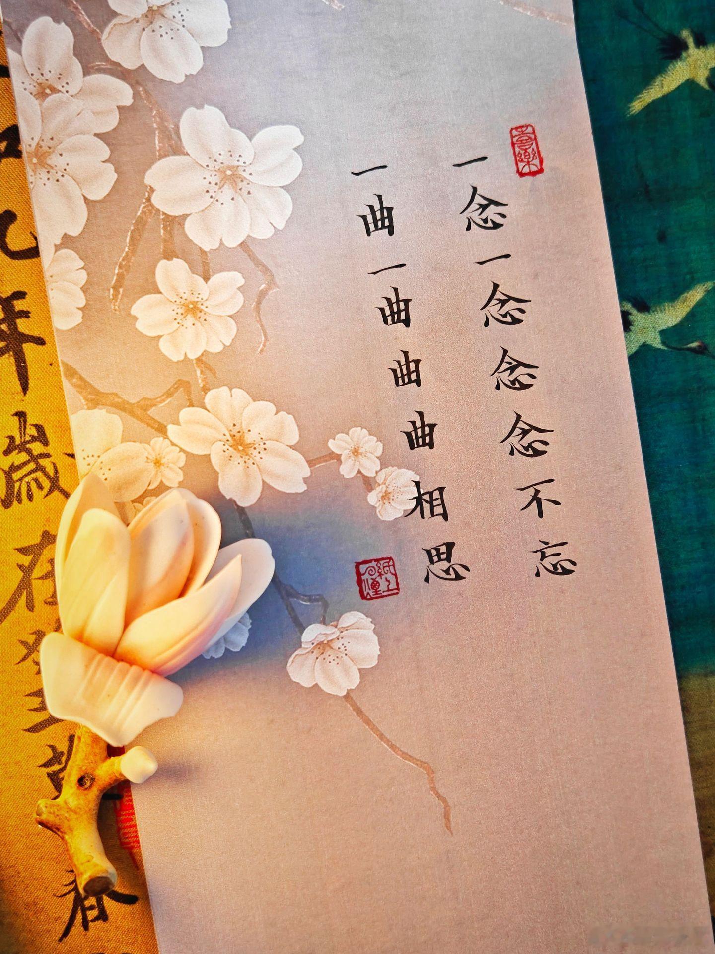 随手拍一念一念念念不忘，一曲一曲曲曲相思。世间最熬人的，大抵就是心底藏着一个放不