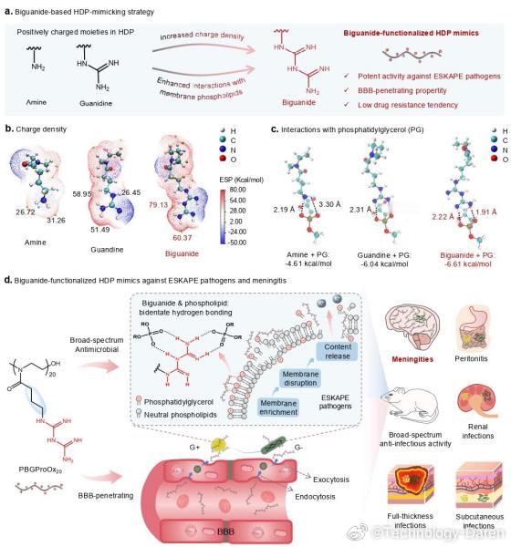 最新科技消息 【我国在抗耐药菌脑膜炎治疗研究取得进展】中国科学院苏州生物医学工程
