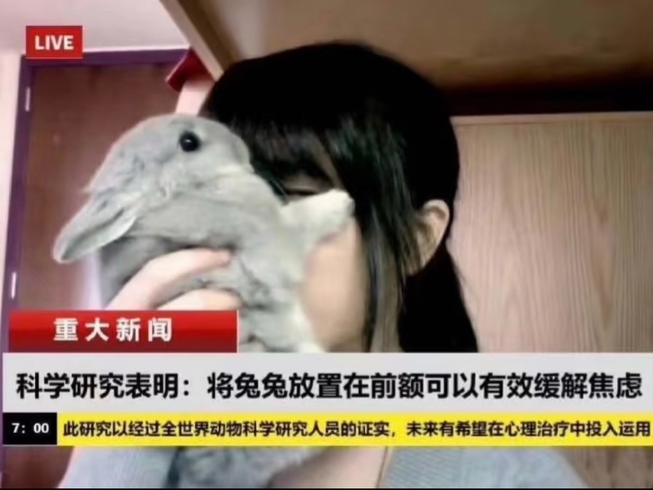 我现在特别需要[单身狗] ​​​