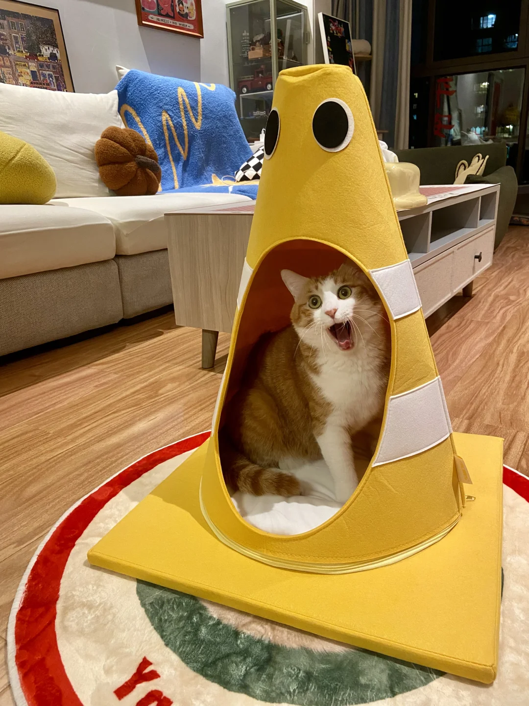 你好，咱们这里不让过哈