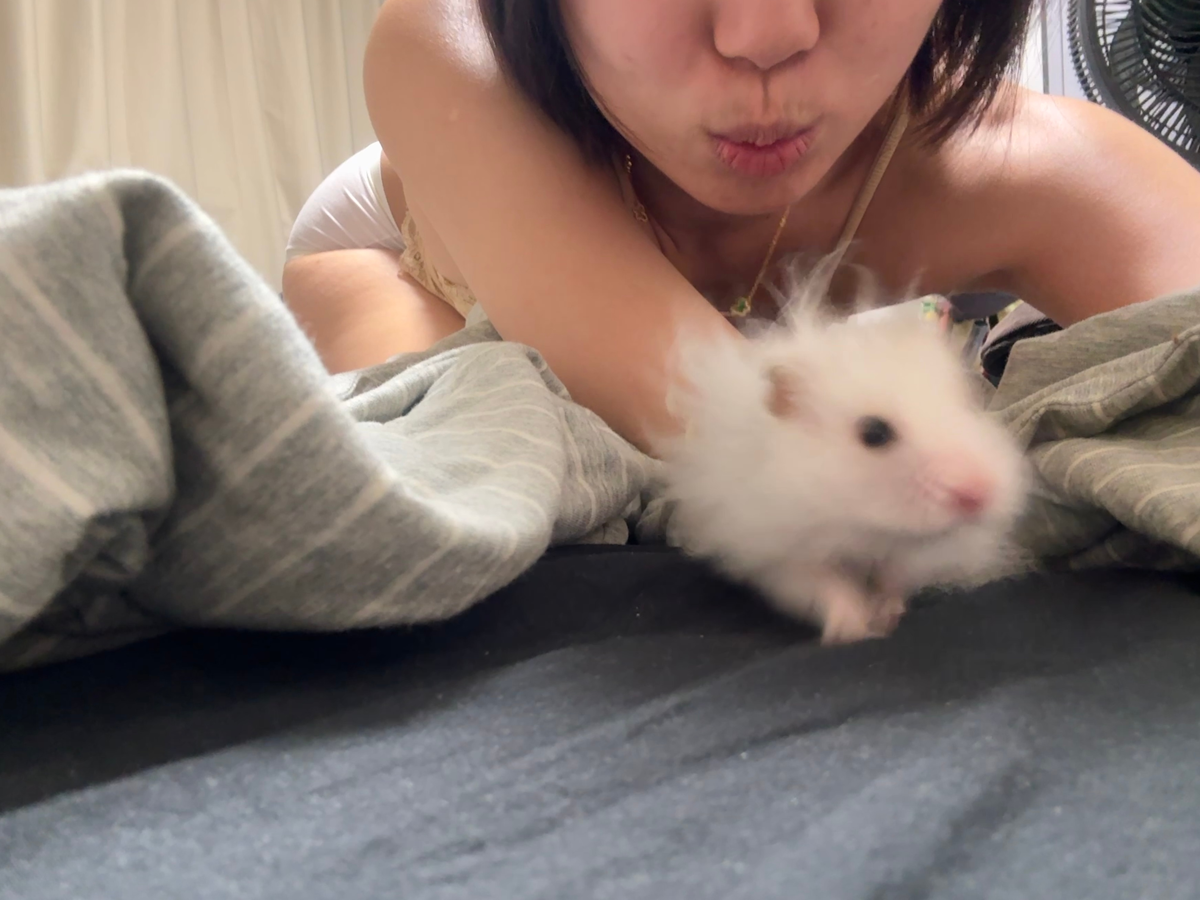 芋圆小宝 ​​​