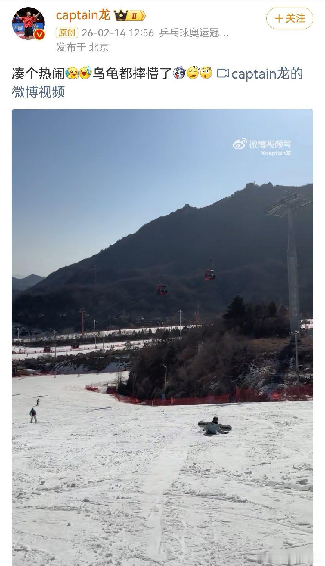 马龙滑雪乌龟都摔懵了 龙队，还是回来打球吧