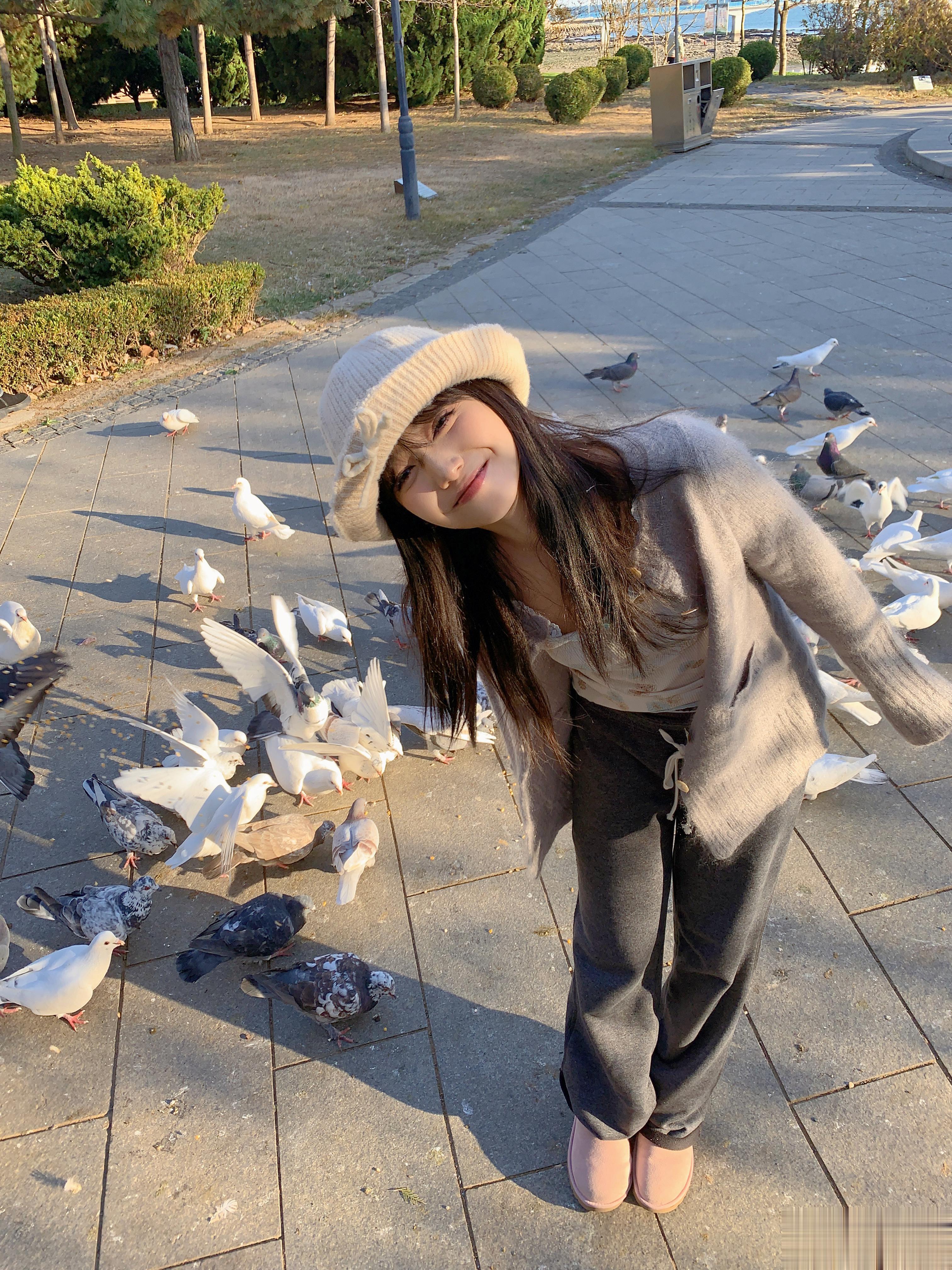 回家看看鸽子🐦 ​​​