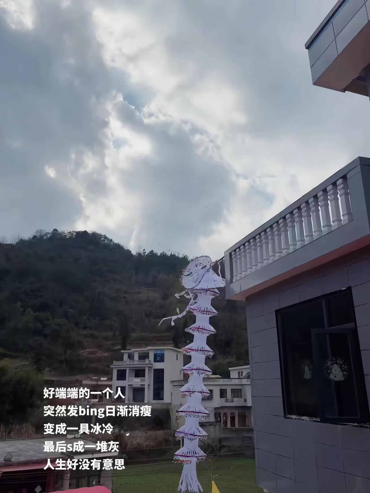 像做梦一样 她消失了 从发病到去世 仅仅两个月