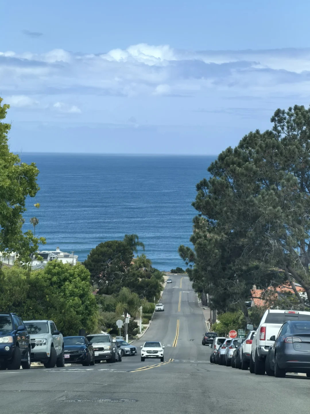 加州一号公路公路照