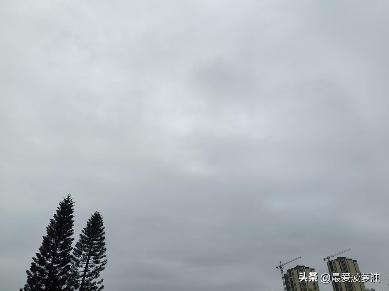 受云量或降水影响，广东气温小幅波动！

20～21日，粤北和珠江三角洲北部市县云