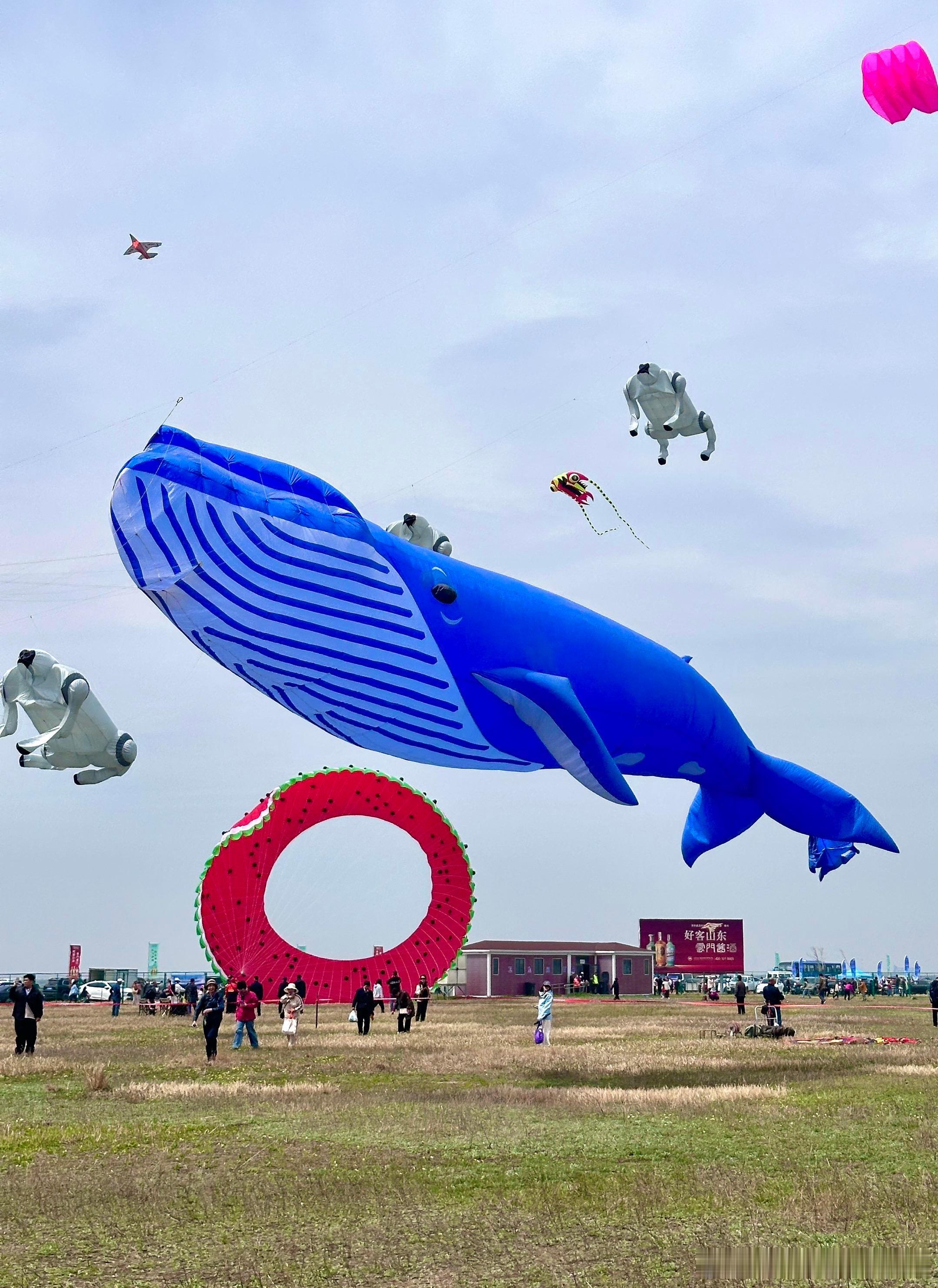 这都是谁往天上放的这个天上还是太精彩了，连洗衣机都上了天 Leader懒人三筒洗