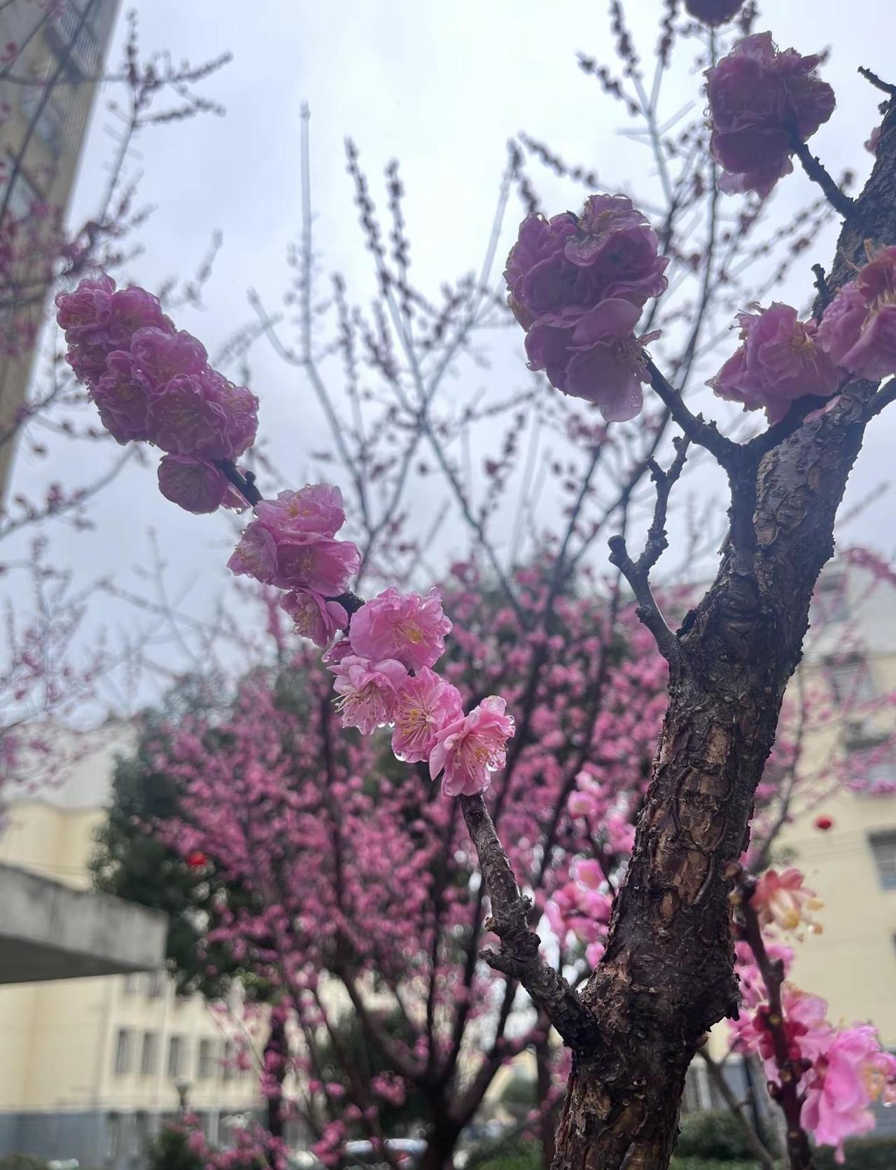 想出去踏青啦，合肥有没有好踏青的地方推荐一下😎😎😎