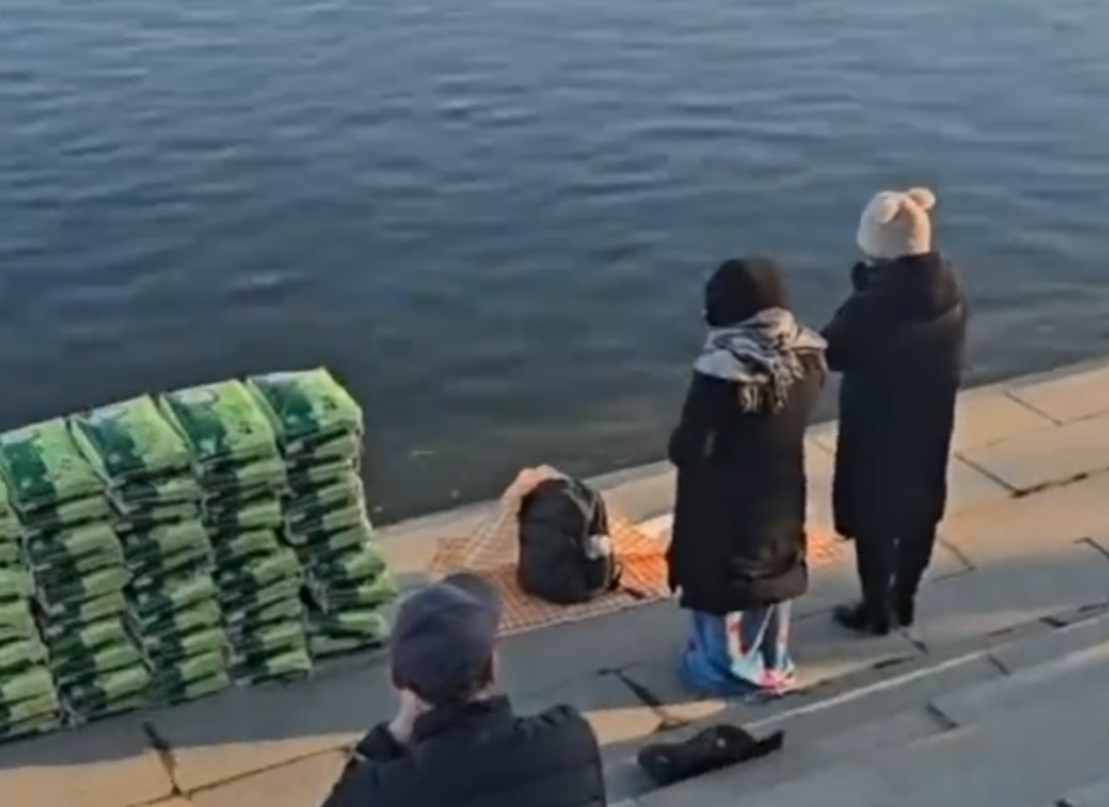 辽宁丹东有人疑在江边放生大米 小日子米荒，咱们这放生大米？查了一下，鱼还真能吃大