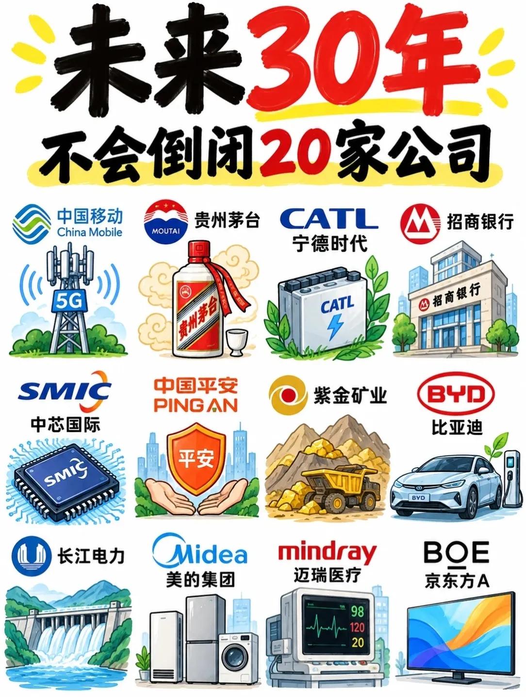 未来30年，这20家中国公司最“稳”？🤔

刷到一组图，列出了被网友称为“永远