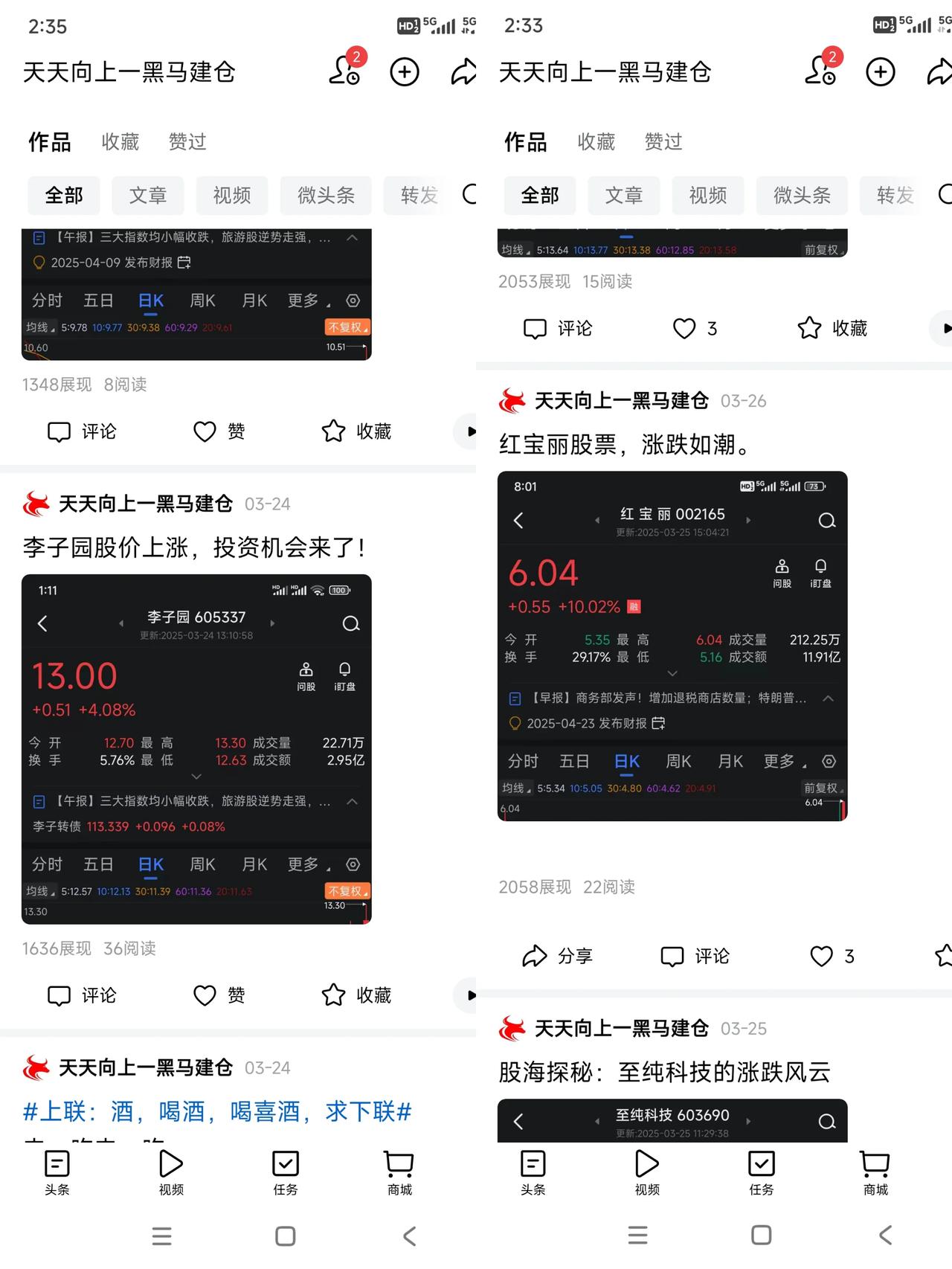 宝丽