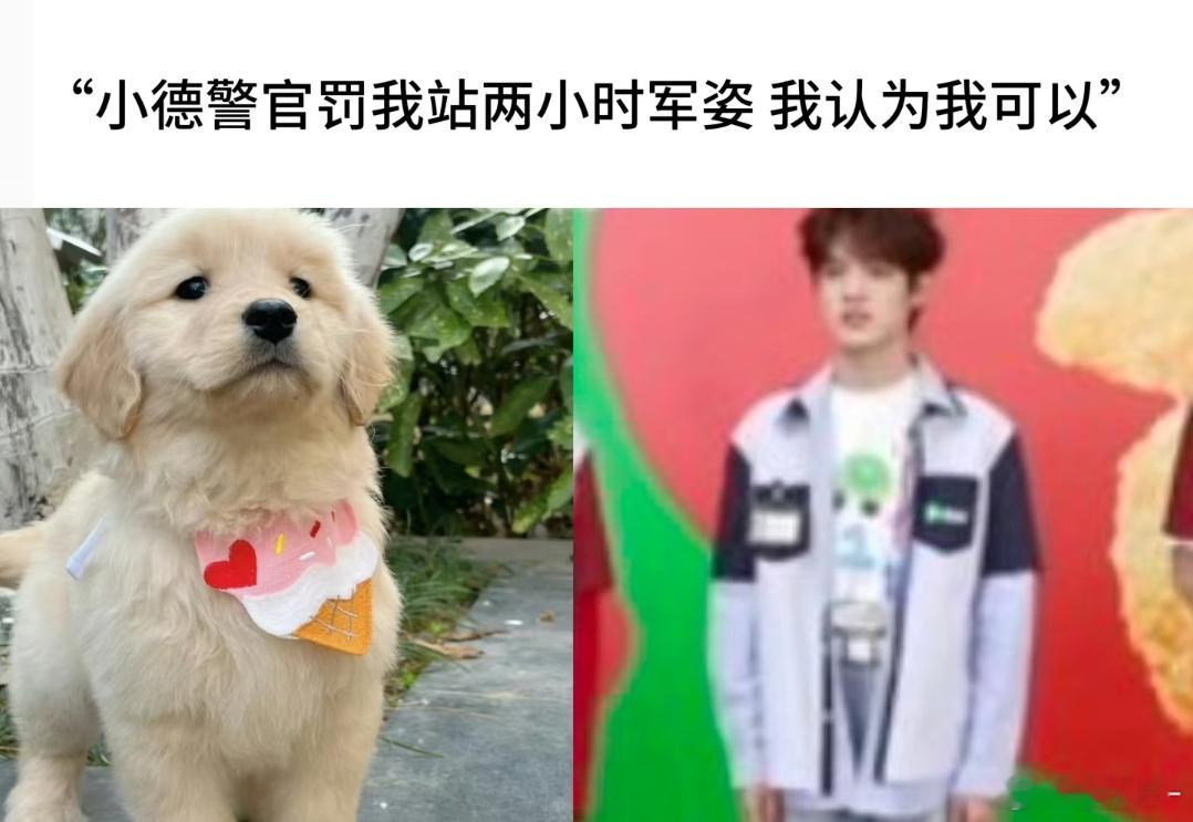 张泽禹狗塑的权威无需多言张泽禹 全世界最尊重狗塑的人