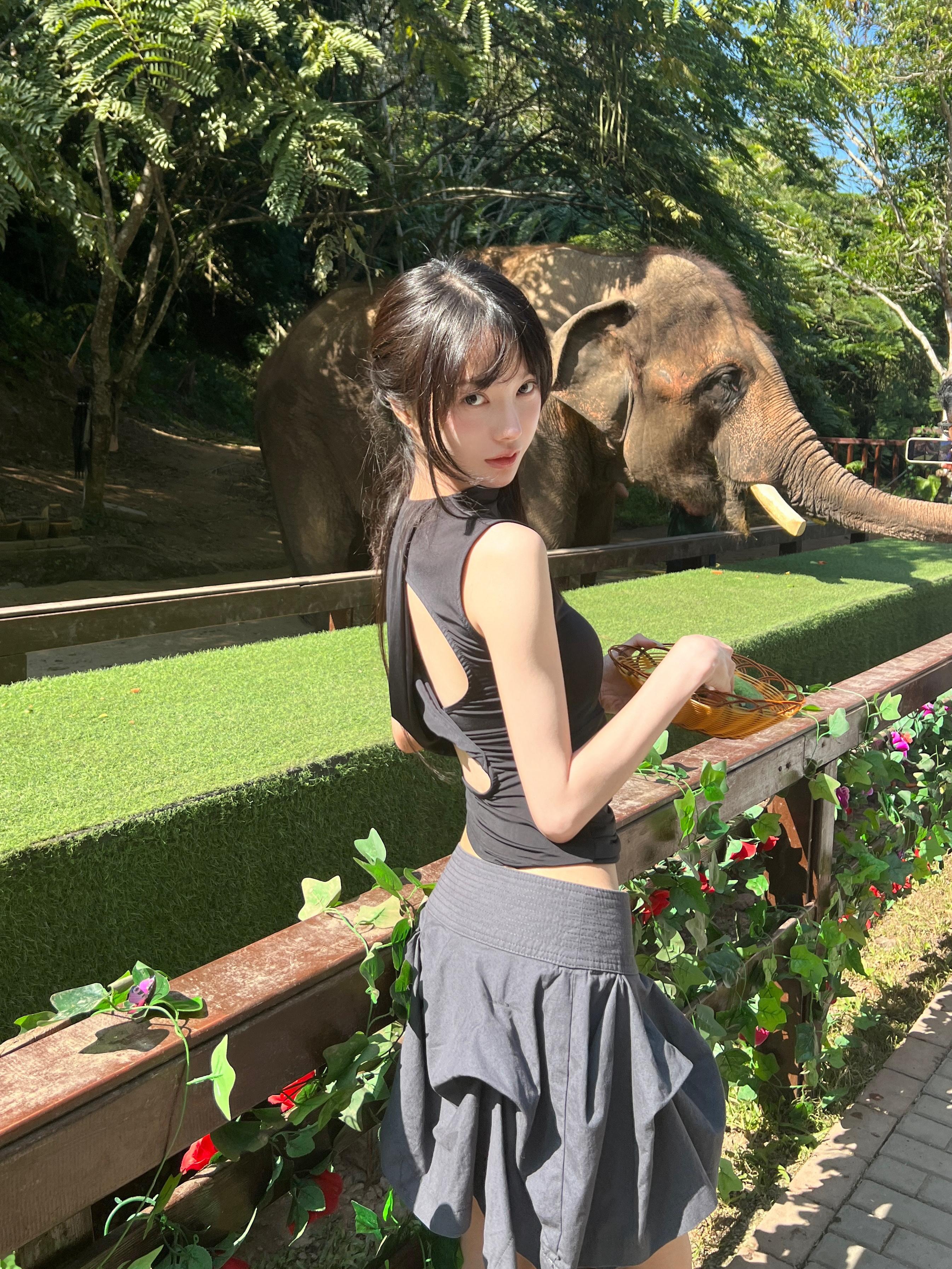 🌴🐘 ​​​