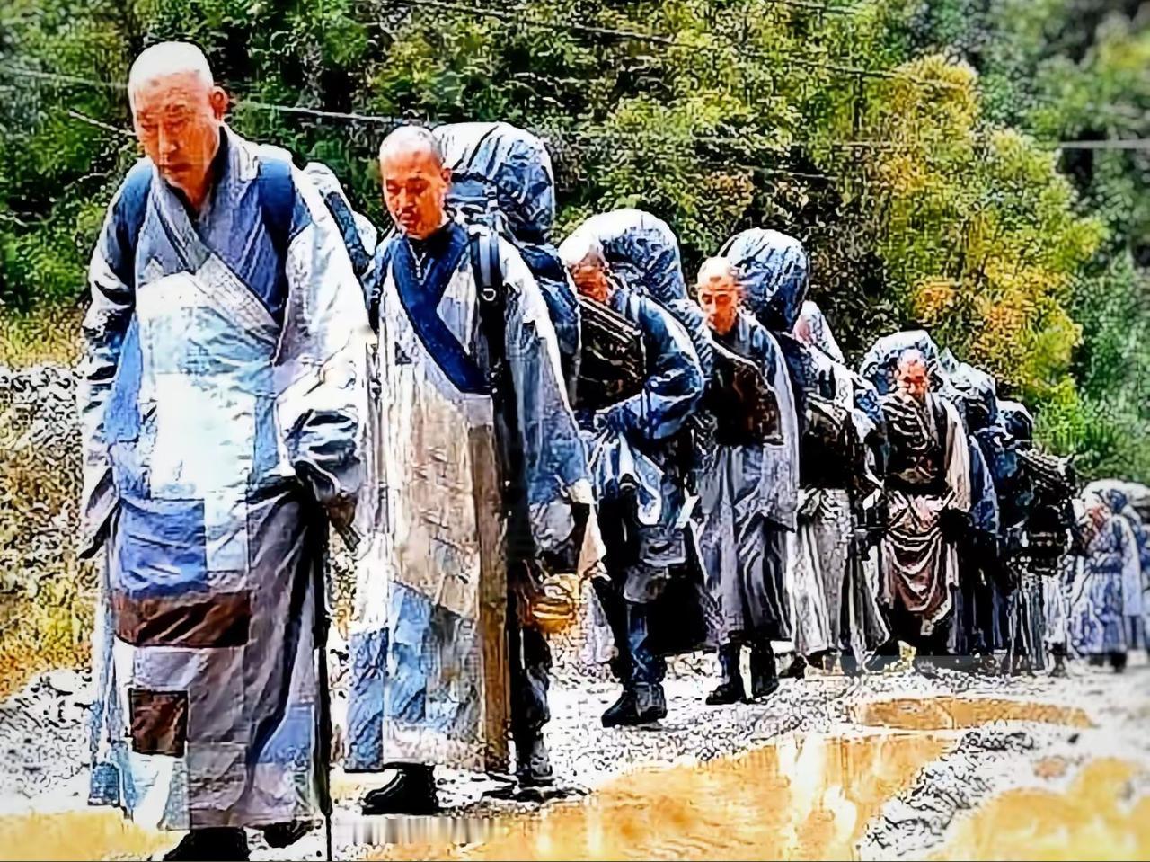 最近这封山封庙的事闹得挺大，
我朋友圈里好几个驴友都在抱怨，
说这大好的春色，怎