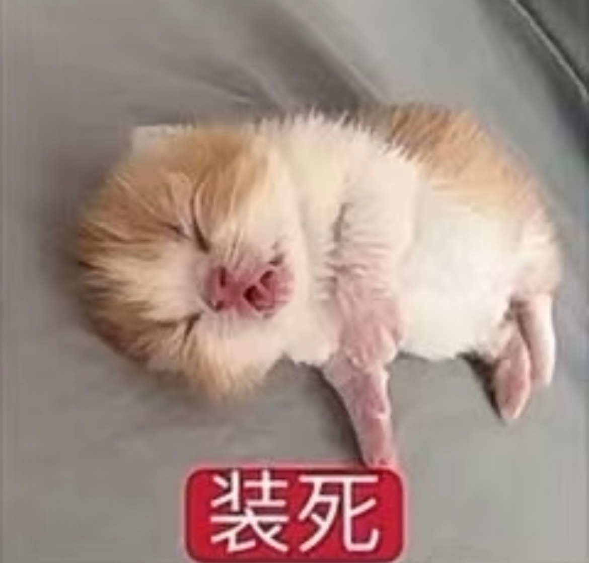 鹿晗关晓彤分手的时间鹿晗关晓彤在一起太久了，且在男方顶流时期公布，分手沉没成本太