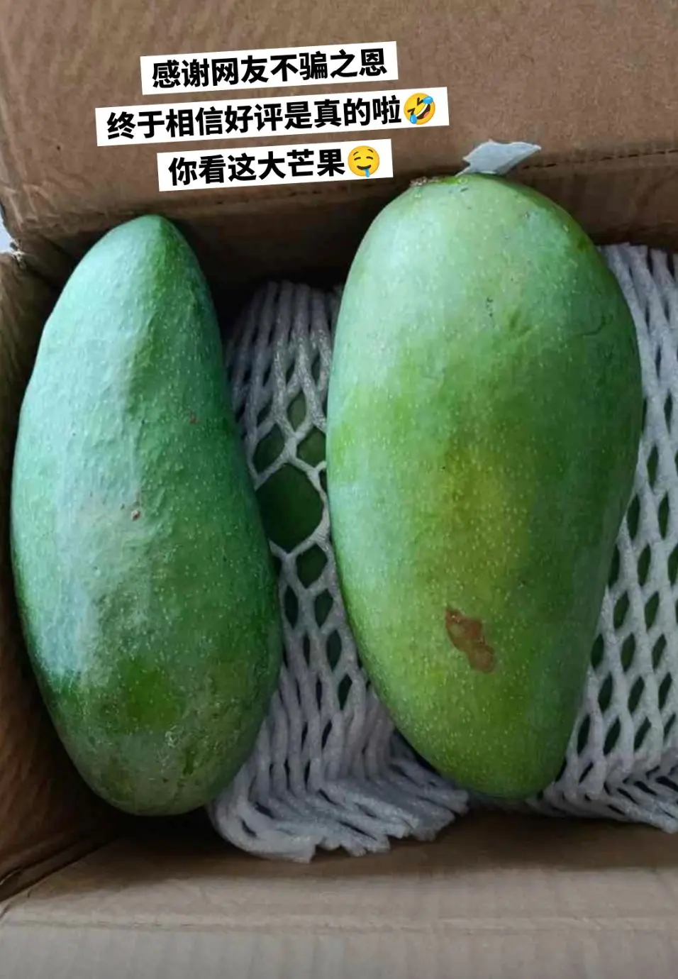 直接削皮啃的快乐，只有大青芒能给你！
