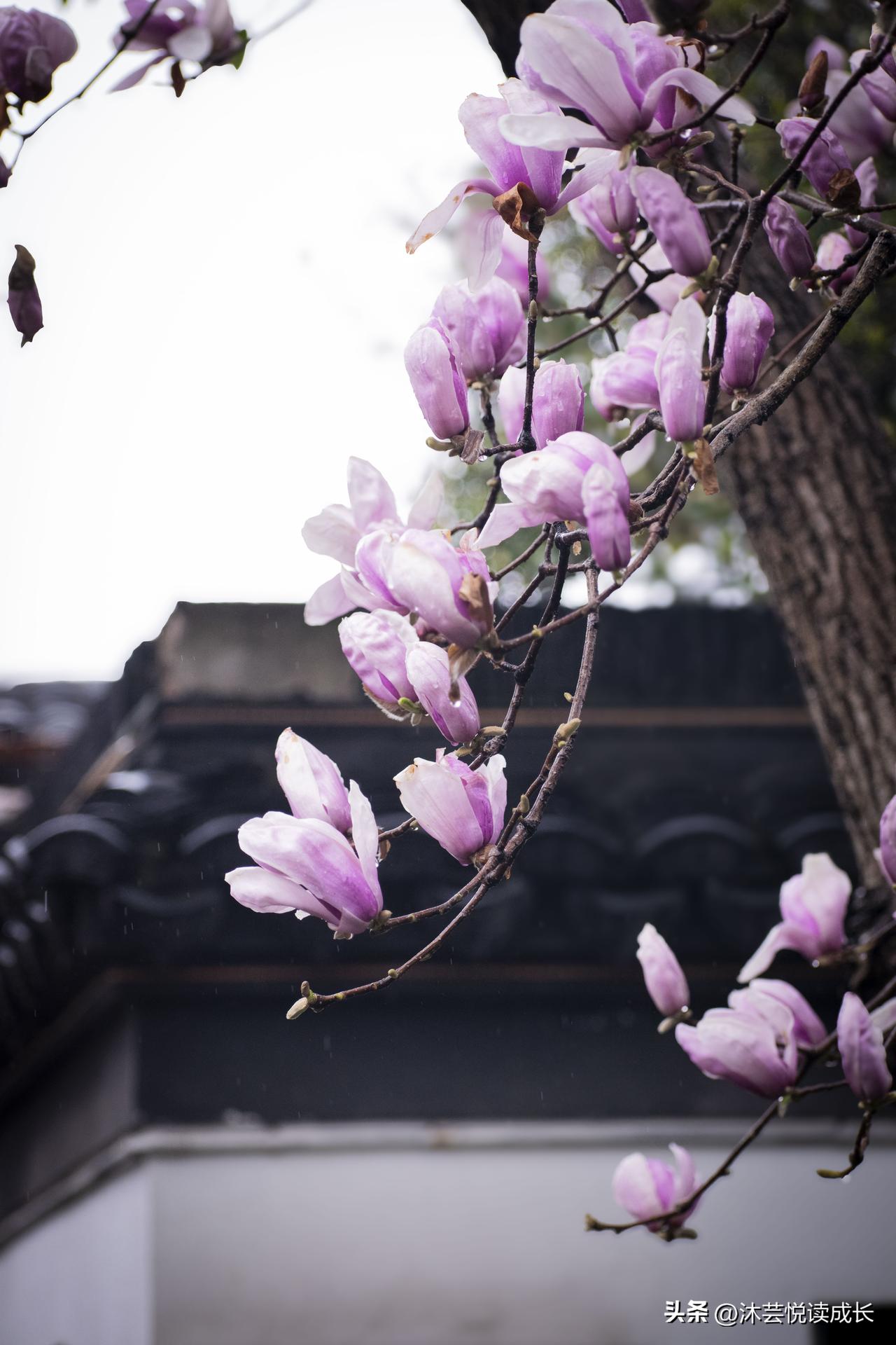 人到中年，最该“翻脸”的，其实是你自己✨
 
你有没有发现：
我们这一辈子，
对