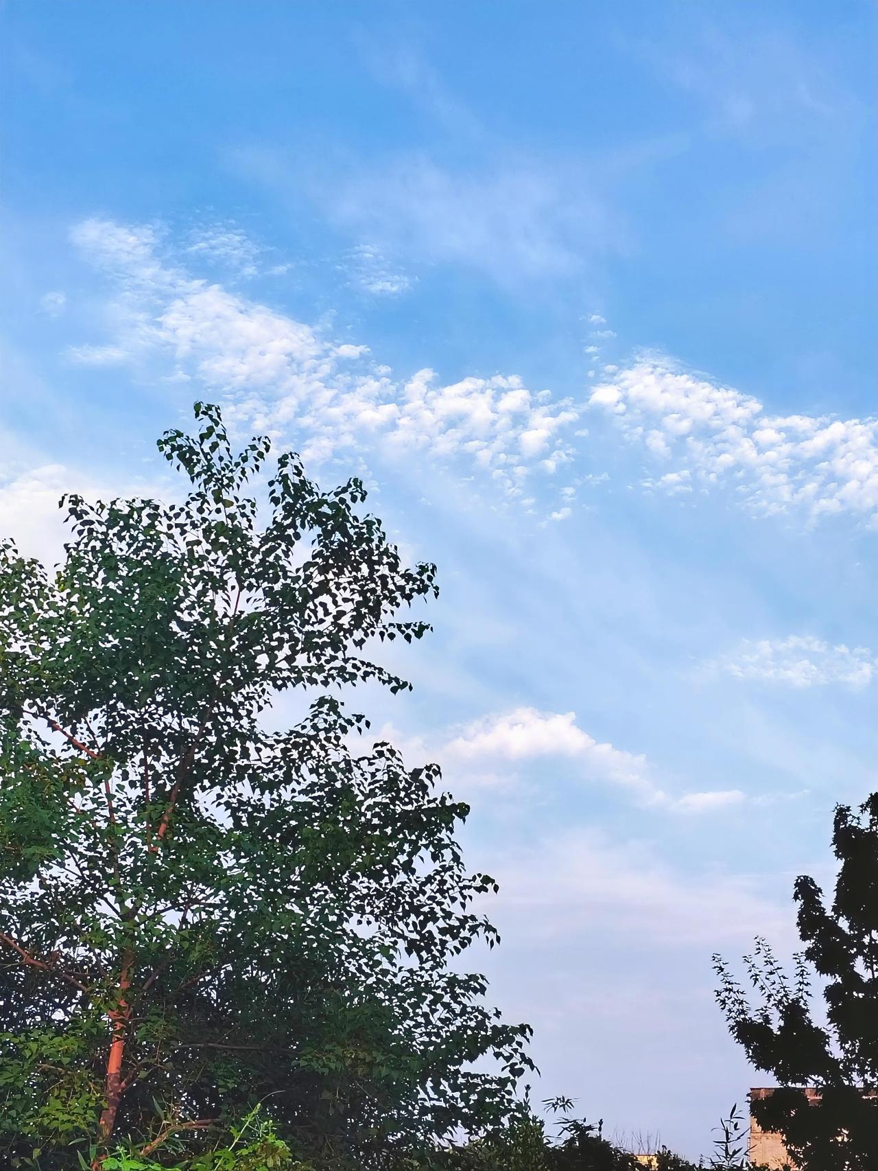 秋天的早晨去公园散步锻炼身体，看到雨过天晴的天空美景，拿起手机随手拍了张天空美景