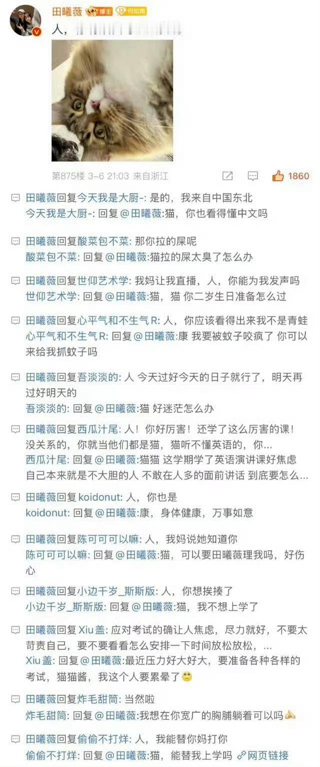 田曦薇猫猫客服在线回复谁会不喜欢这个小猫田曦薇啊！！！是会变身猫猫客服和粉丝互动