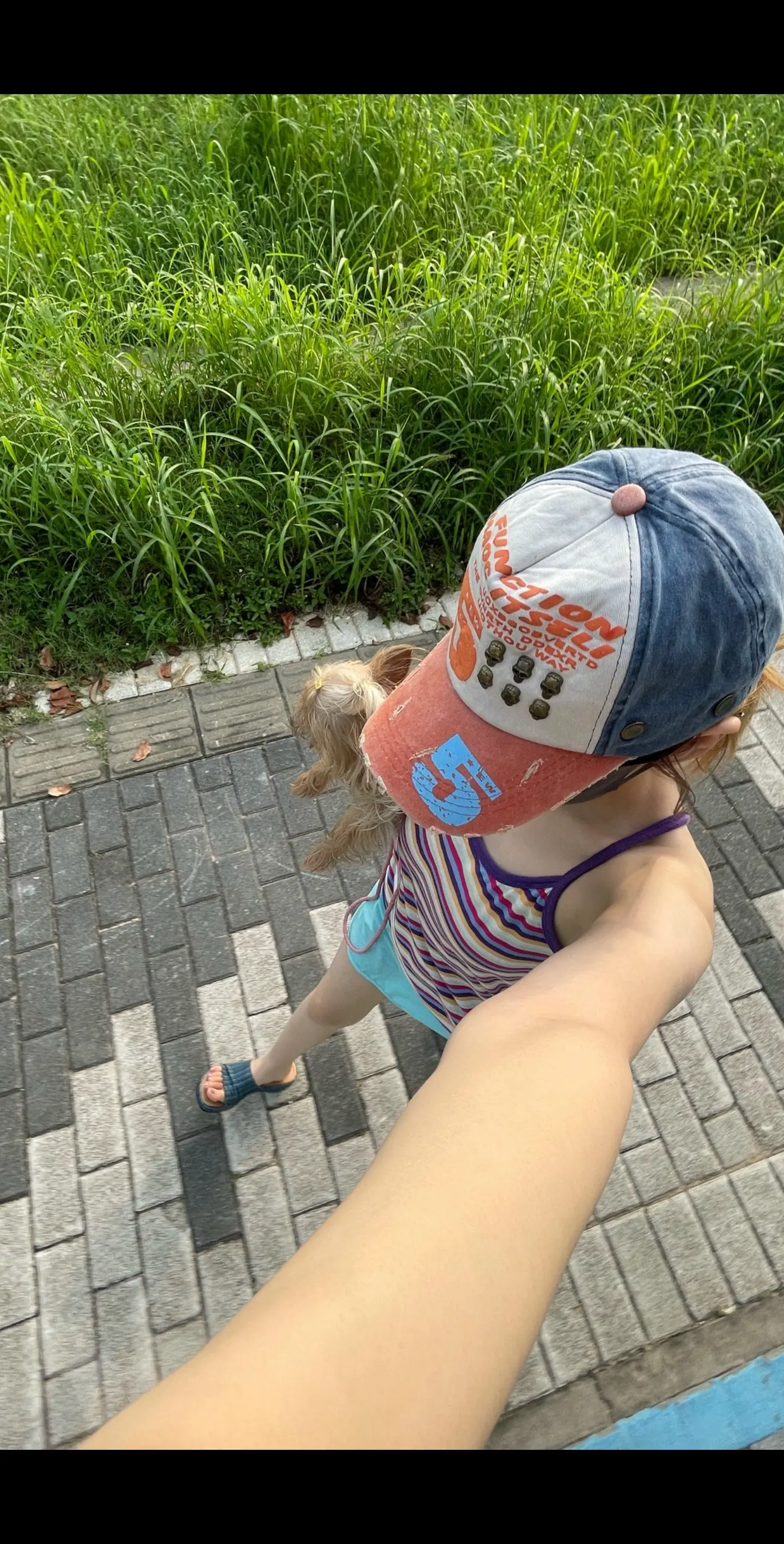 “后来选择了自由 抓不住的东西再也没有挽留过 我只想快乐”