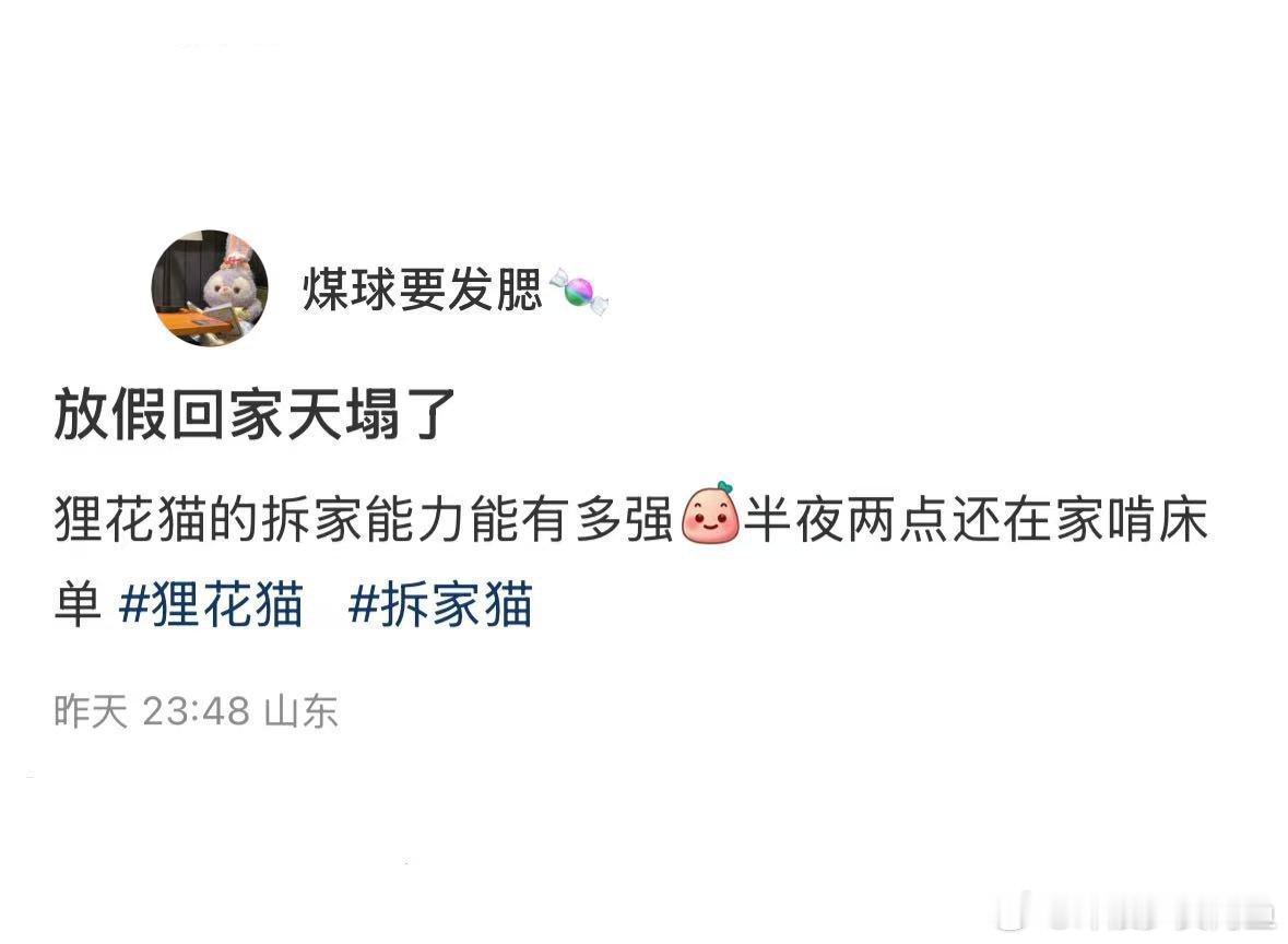 狸花猫拆家能力真的很强 ​​​