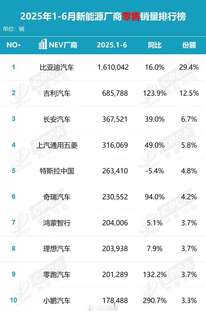 2025年1-6月国内新能源汽车品牌零售销量TOP10除了特斯拉销量下滑14.6