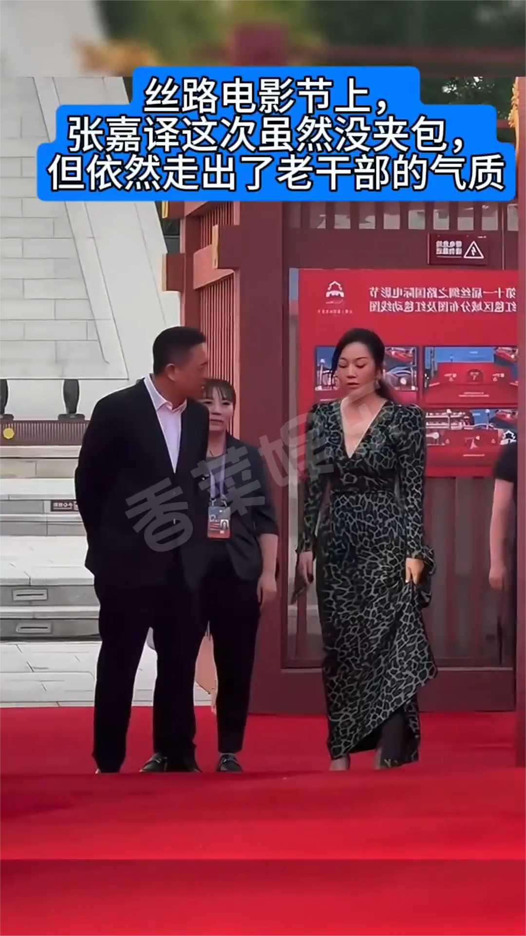 丝路电影节上，张嘉译这次虽然没夹包，但依然走出了老干部的气质。