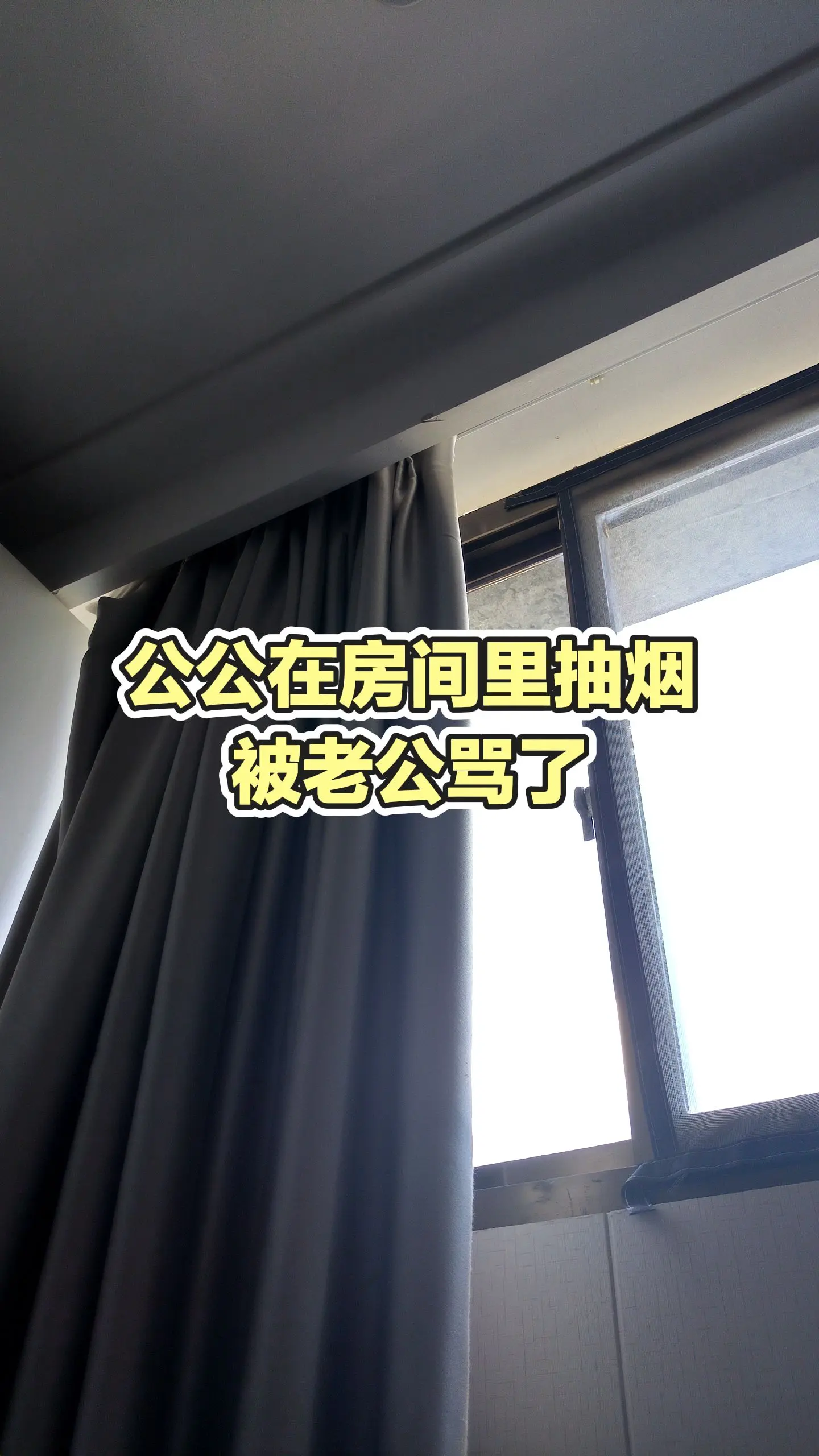 每日推文