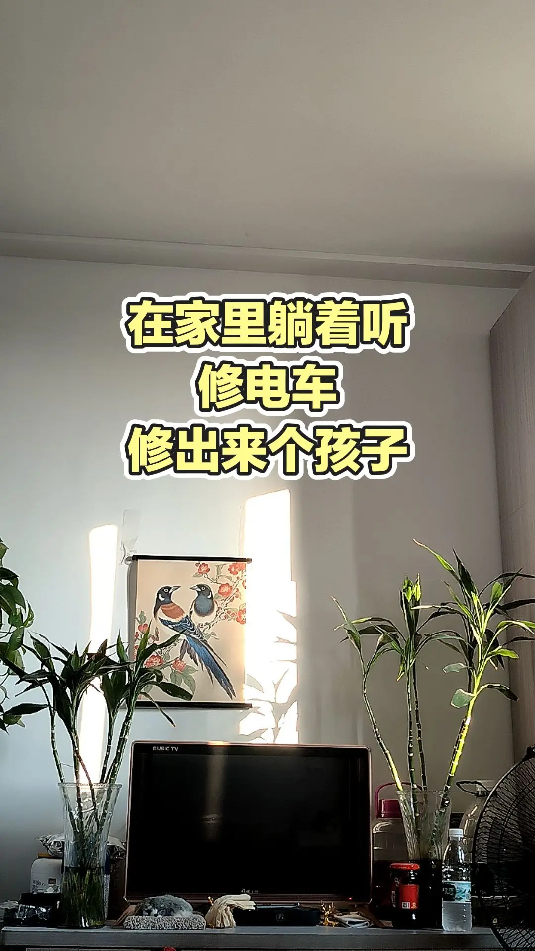 每日分享