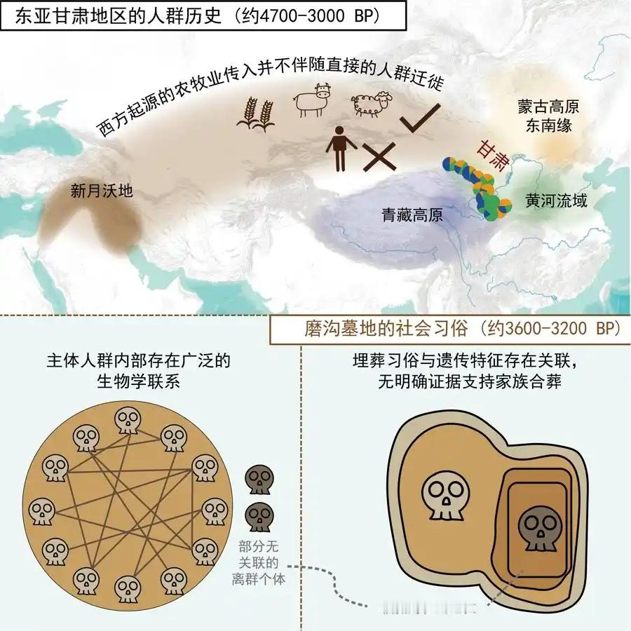 【古DNA研究揭示甘肃史前人群的遗传历史与社会结构】中国科学院古脊椎动物与古人类