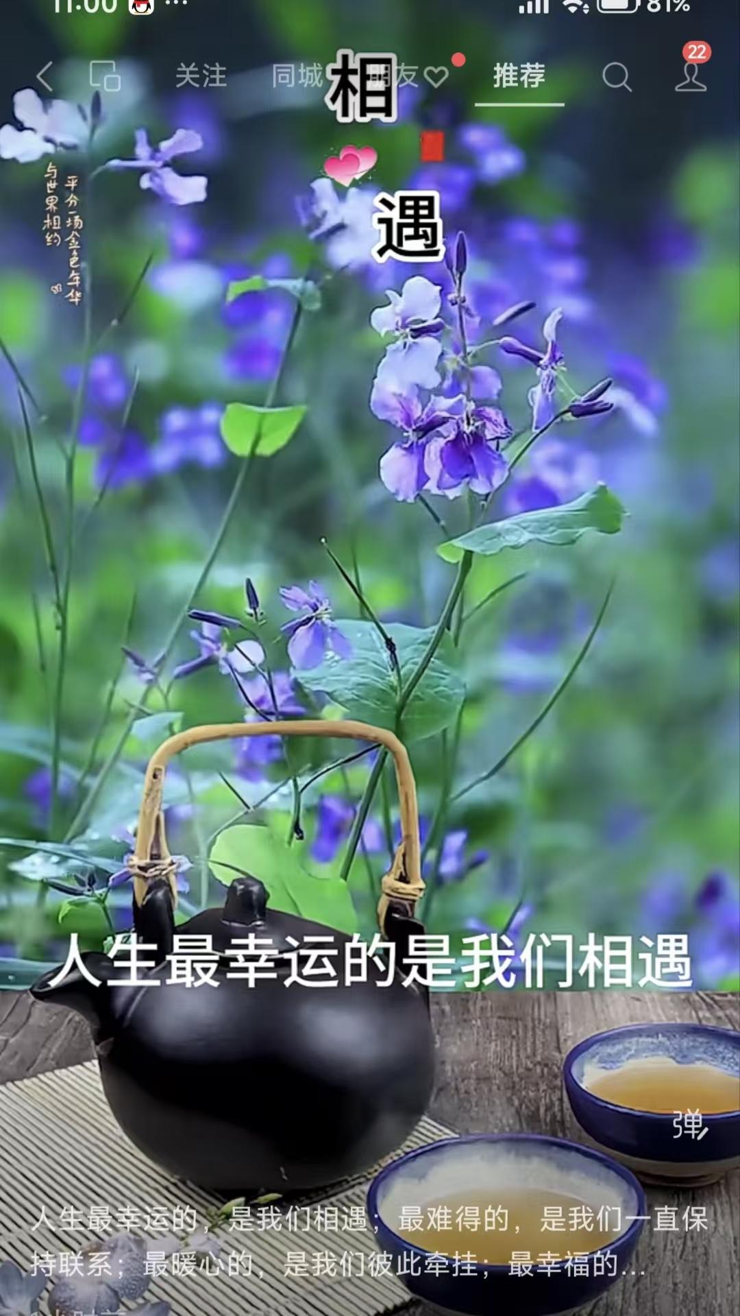 塞鸿秋·感遇
人生幸得相逢遇，
常相挂念情难去，
暖心最是长相系，
平安康健皆如