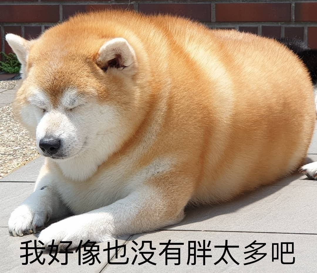 【这下安心了，原来人类并非唯一肥胖的灵长类动物】长期以来，科学家一直将人类成为“