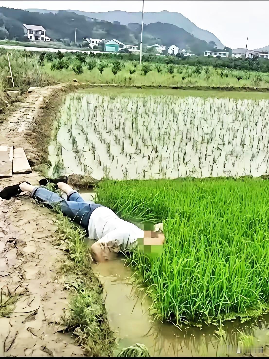 “并非谁死谁有理！”成都七旬李大爷晨练滑倒稻田溺亡，家属索赔32万，法院直接驳回