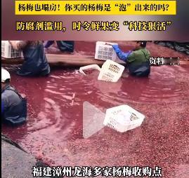 “不吃杨梅了，不管是哪里产的，我管不了食品安全，我就管好自己的嘴！”

这是网友