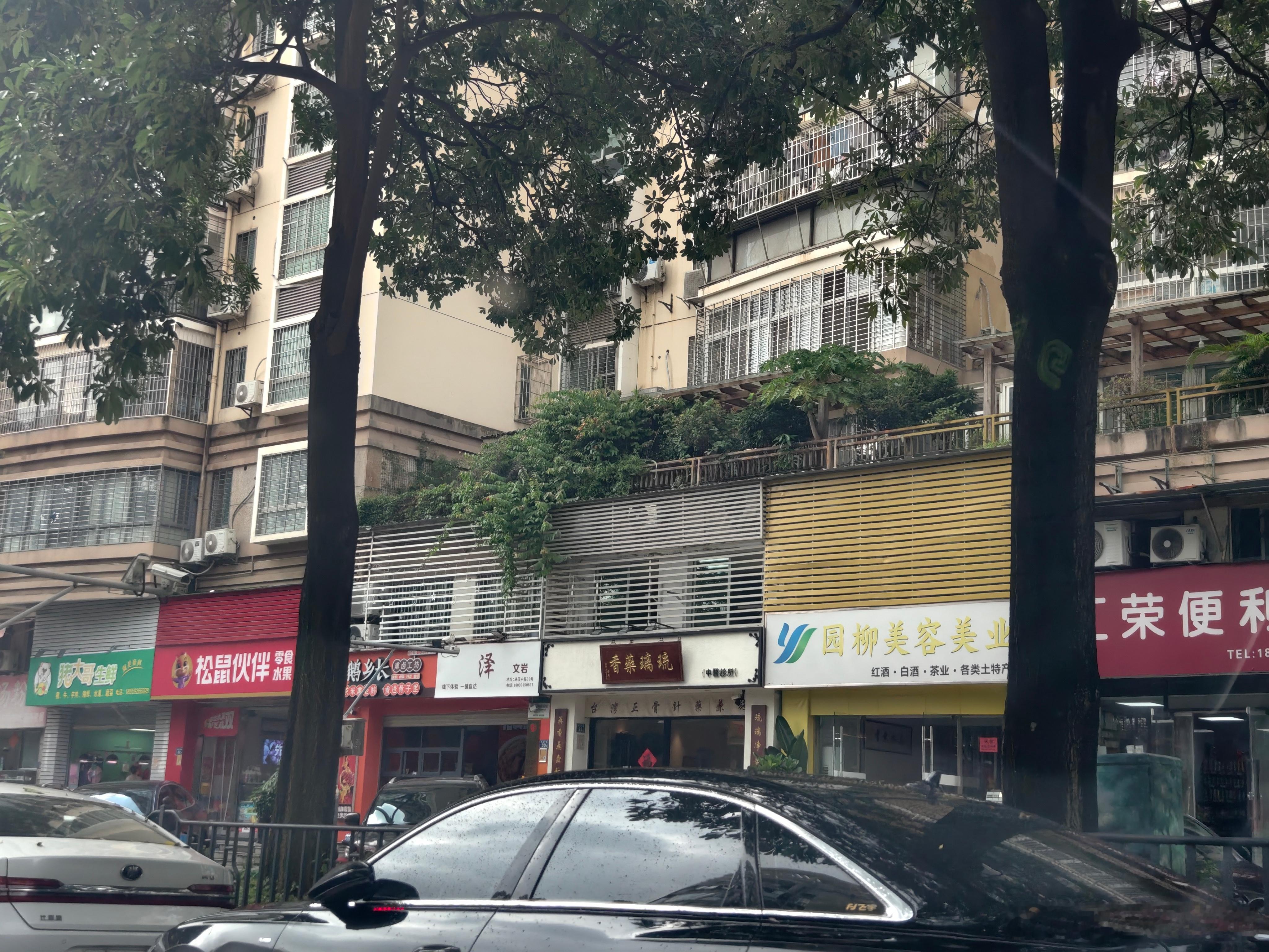 这家露台快种成深林了，蚊虫会多吗？ ​​​