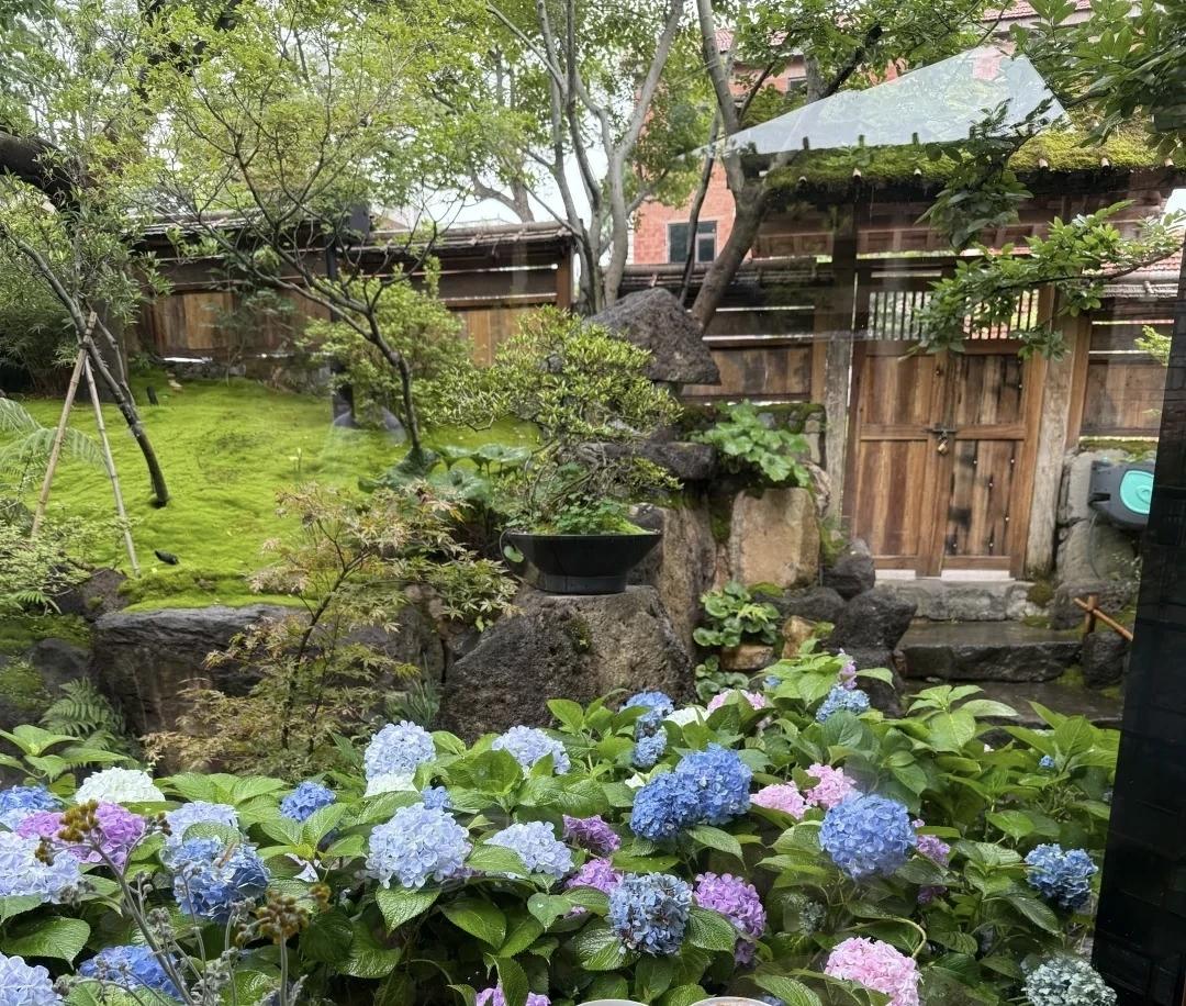 【情绪是奢侈品，不可以轻易拿出来】
        情绪真是奢侈品，可不能随便示