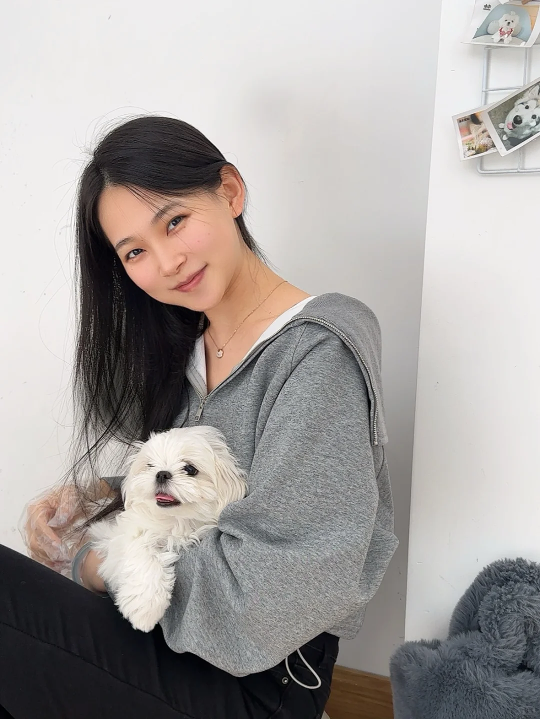 长春🏠接了一只线条小狗回家！🐶