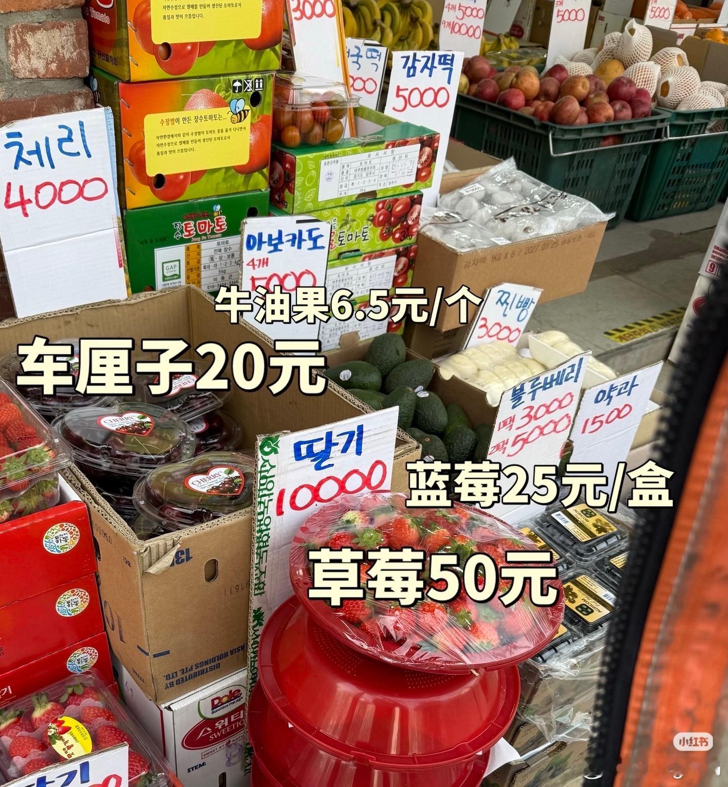 韩国游客爱上中国超市最主要的是没吃过这么便宜的水果吧在那边水果蔬菜算是比较奢侈的