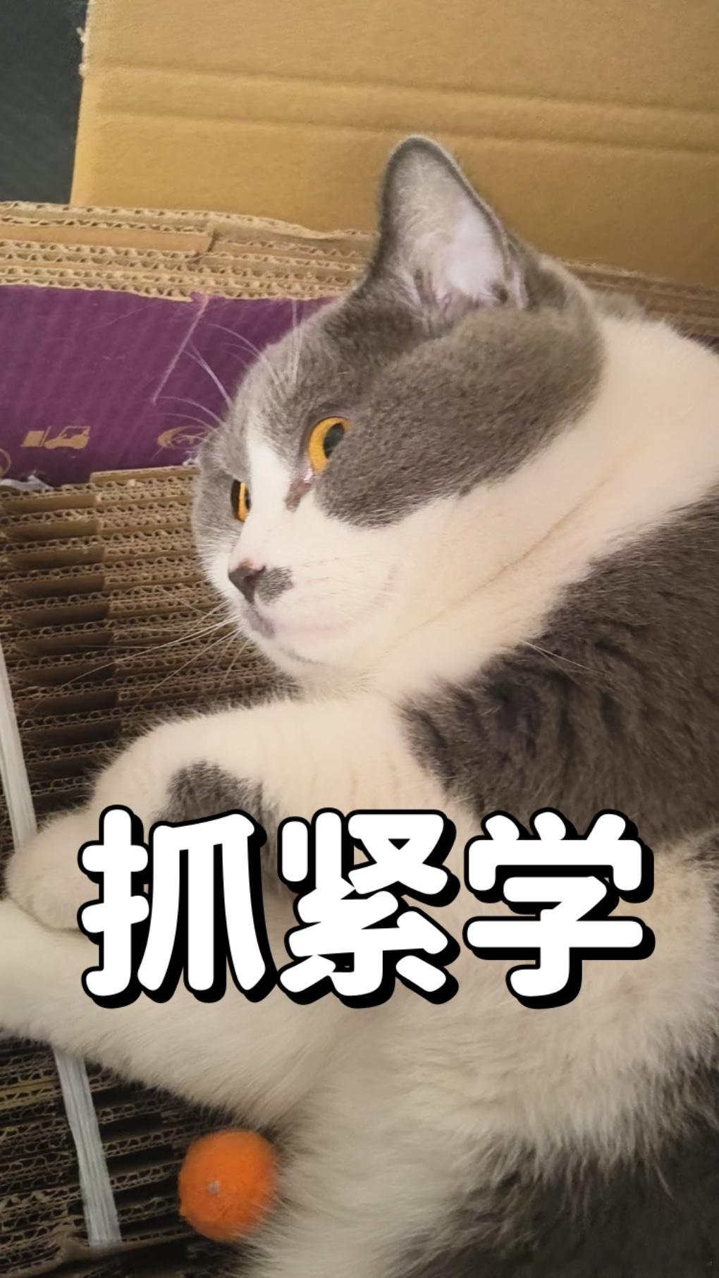 被5岁儿子强忍恐惧施救妈妈发声实话实说，幼儿园、小学的急救教育是有必要的。包括个