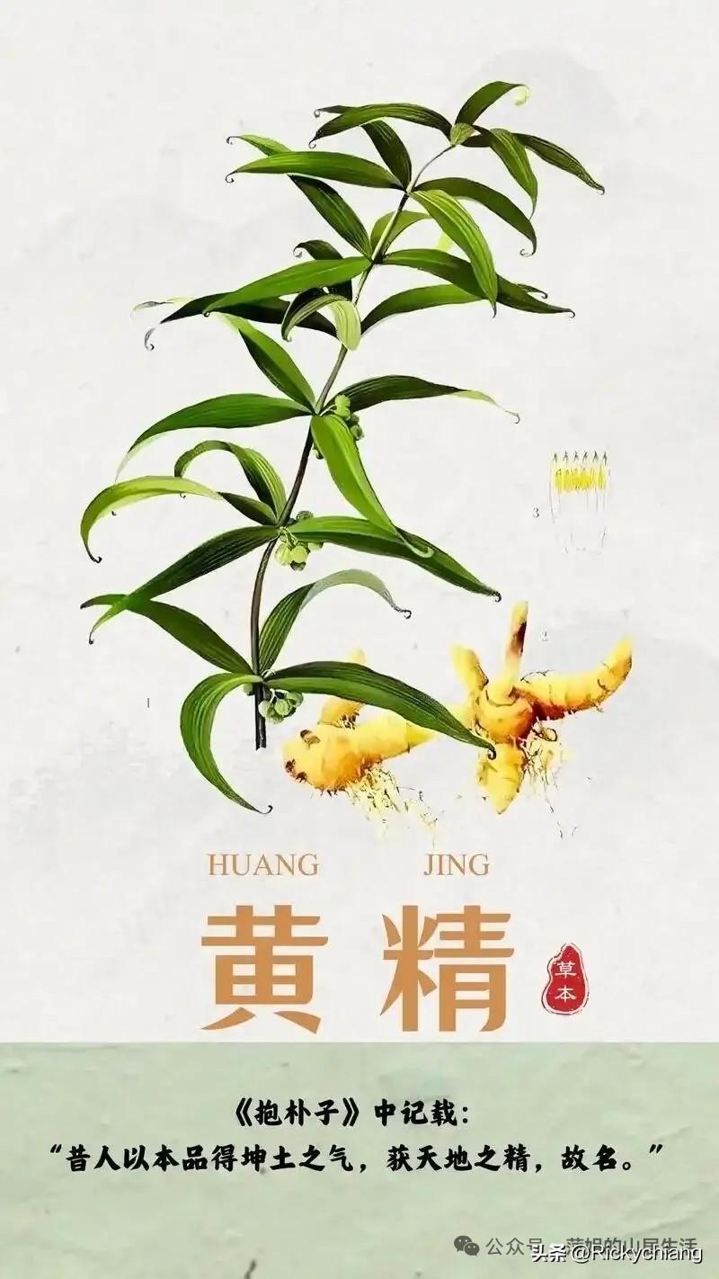 记得小时候看病，医生号脉、问病情、看舌苔，就能大致判断病症。

可现在去医院，动