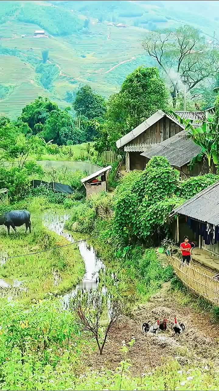 周未，回乡下小住几日。
有点讨厌城市里的烦扰。
虽说很少与人来往，交际也不多，但