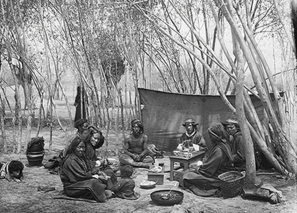青稞是裸口感最差的粮食，没有之一。上世纪70年代，西藏地区曾尝试推广小麦种植，很