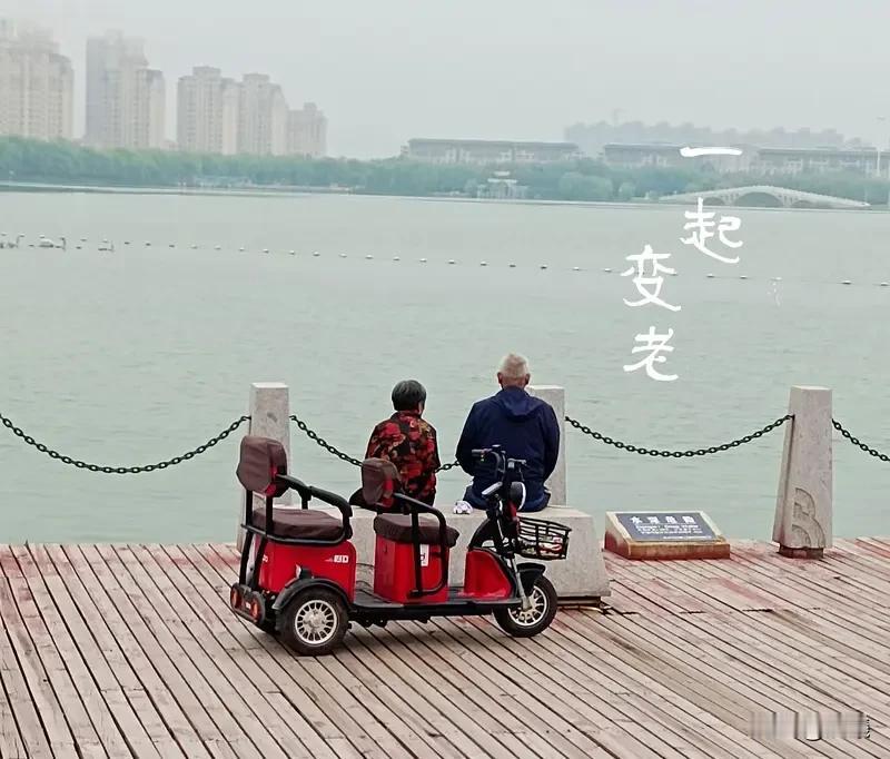 老了，什么才是底气？可不是儿女孝顺或嘴上的人情世故，而是实打实攥在手里的东西。