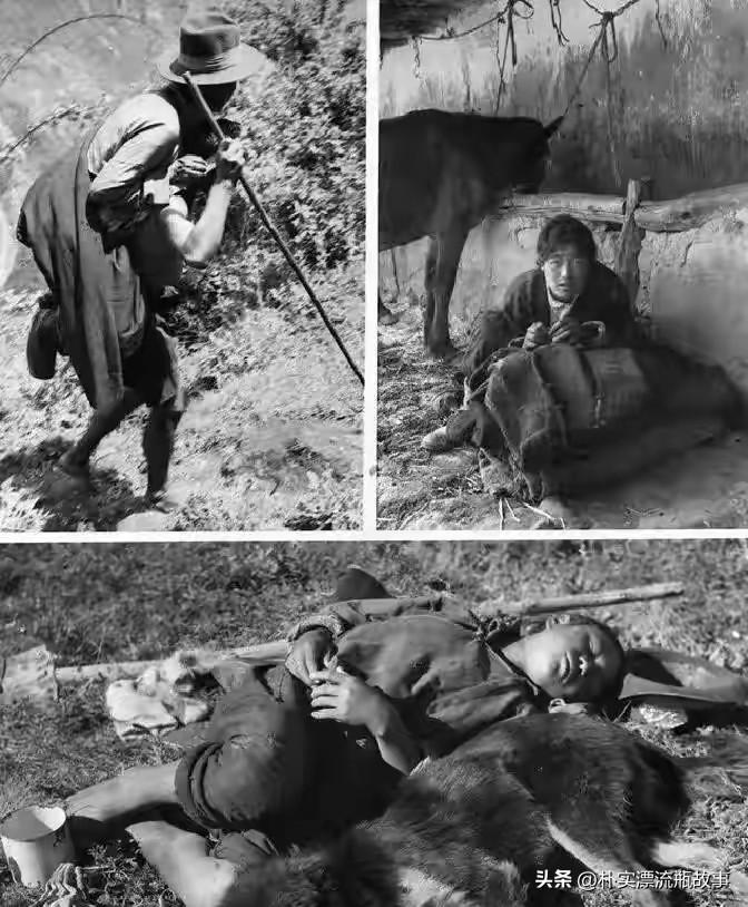 你信不信，在几十年前的西藏，一个人的命，只值一根草绳。
不是比喻，是写在法律里的