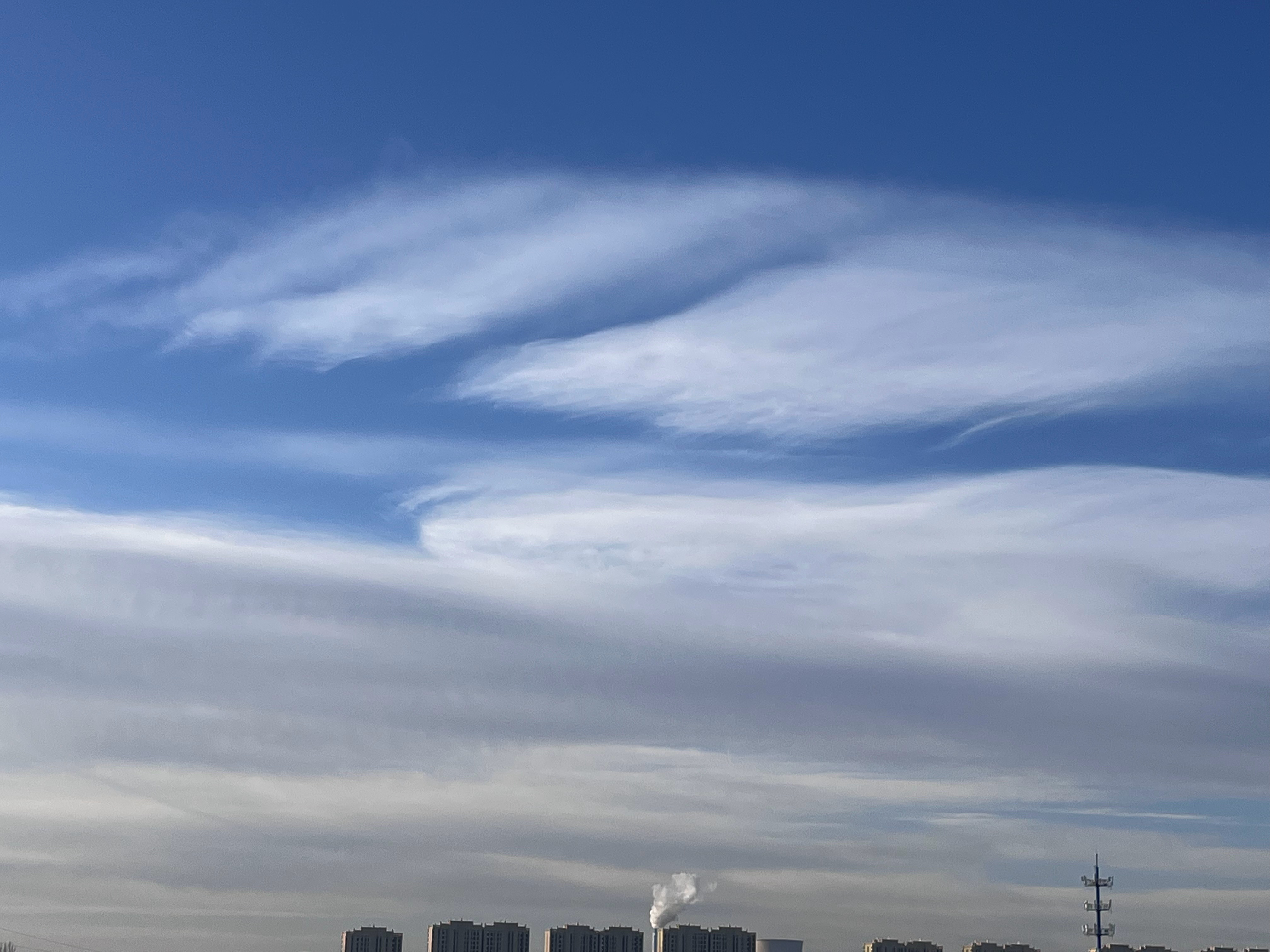 好天气不能辜负，家主休息享受二人世界出发逛街购物🛍️～ 