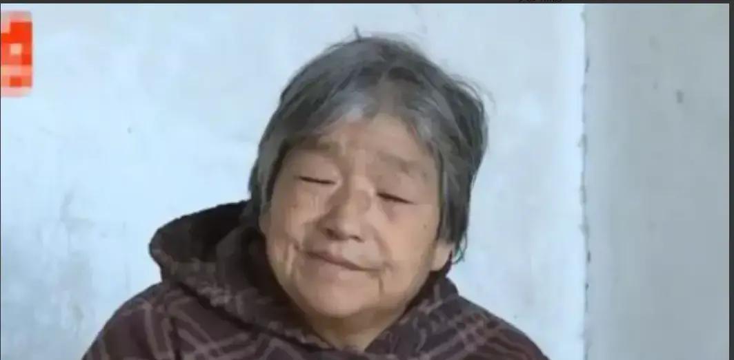 75岁老太太把大儿子送进监狱，抢走全部猪和粮，最后小儿子把她赶出门，她却厚着脸皮