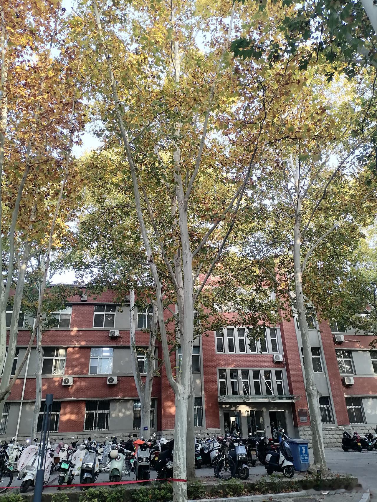 再过一个多月，2025年就结束了，从年终阶段以及市场的现状来看，A股市场目前的风