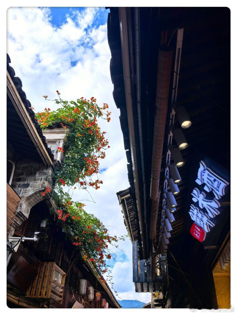 紫阳街吸引人的地方很多，主要是原汁原味的烟火气和质朴的氛围。没有过度渲染的叫卖声