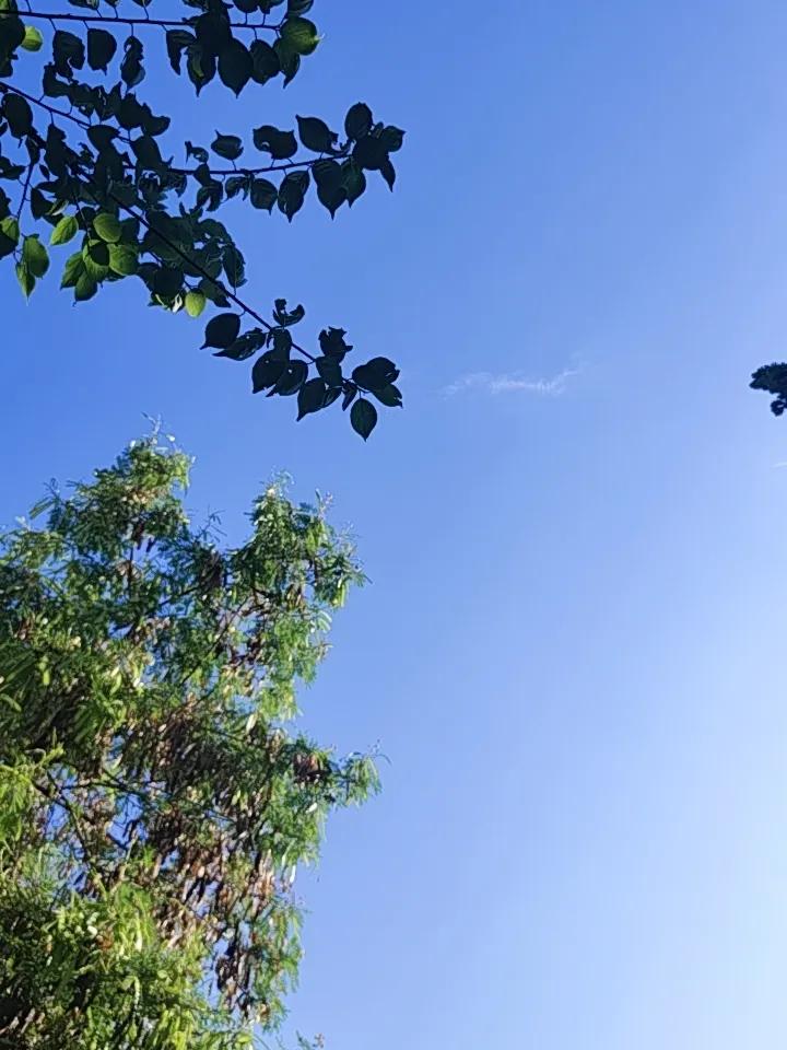 昆明这万里无云蓝天的一天，简直太让人爱了！今天阳光明媚，空气里都带着甜意。这样的